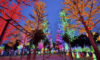 i-City