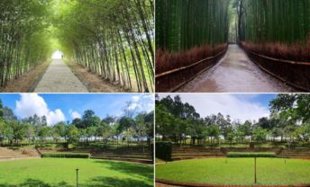 Bamboo Walk @Sebana Woods