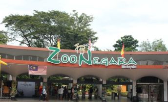Zoo Negara Malaysia